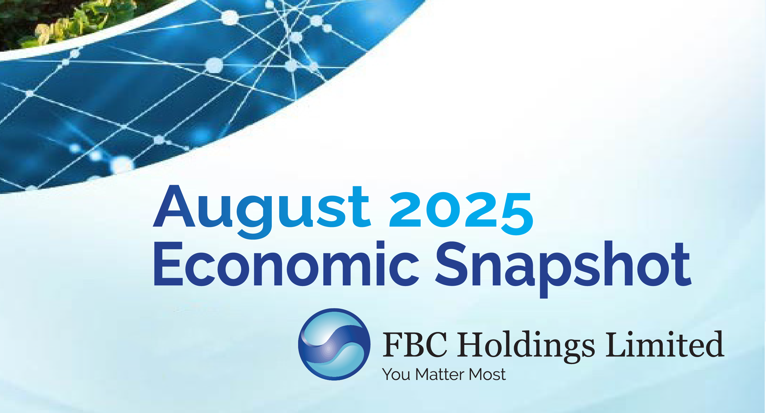economic snapshot